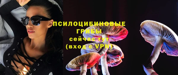 гидропоника Дмитровск