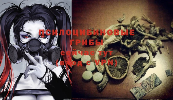 меф VHQ Дмитриев